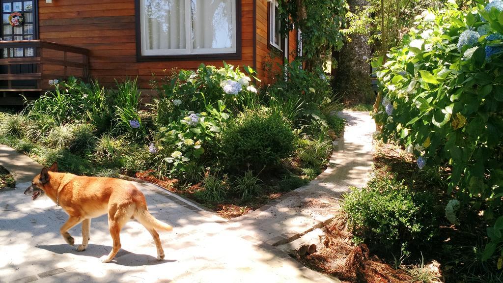 Villa Sobrado Estilo Alemao Canela Esterno foto